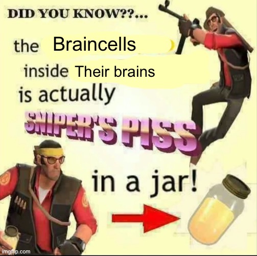 Sniper’s piss | Braincells Their brains | image tagged in sniper s piss | made w/ Imgflip meme maker