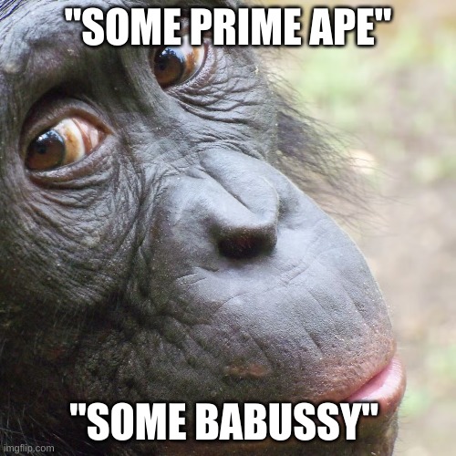 Prime Ape | "SOME PRIME APE"; "SOME BABUSSY" | image tagged in prime ape | made w/ Imgflip meme maker
