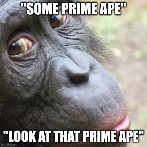 guess who said this... | "SOME PRIME APE"; "LOOK AT THAT PRIME APE" | image tagged in prime ape,ylyl,tom simons | made w/ Imgflip meme maker
