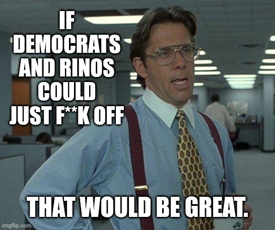 Yeah if you could  | IF DEMOCRATS AND RINOS COULD JUST F**K OFF THAT WOULD BE GREAT. | image tagged in yeah if you could | made w/ Imgflip meme maker