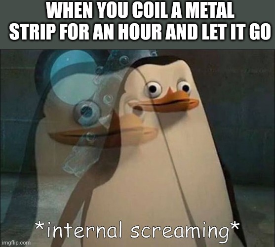 Private Internal Screaming | WHEN YOU COIL A METAL STRIP FOR AN HOUR AND LET IT GO | image tagged in private internal screaming | made w/ Imgflip meme maker