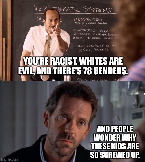 And people wonder. | YOU'RE RACIST, WHITES ARE EVIL, AND THERE'S 78 GENDERS. AND PEOPLE WONDER WHY THESE KIDS ARE SO SCREWED UP. | image tagged in key and peele substitute teacher,sarcastic house | made w/ Imgflip meme maker