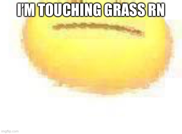 ASCEND | I’M TOUCHING GRASS RN | image tagged in ascend | made w/ Imgflip meme maker