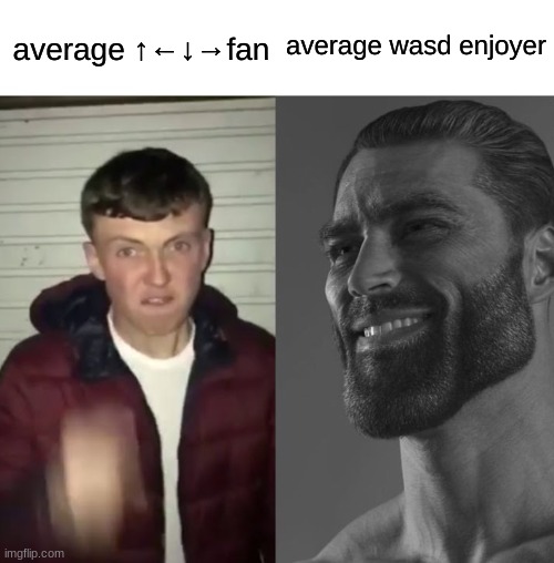 Average Fan vs Average Enjoyer | average wasd enjoyer; average ↑←↓→fan | image tagged in average fan vs average enjoyer | made w/ Imgflip meme maker