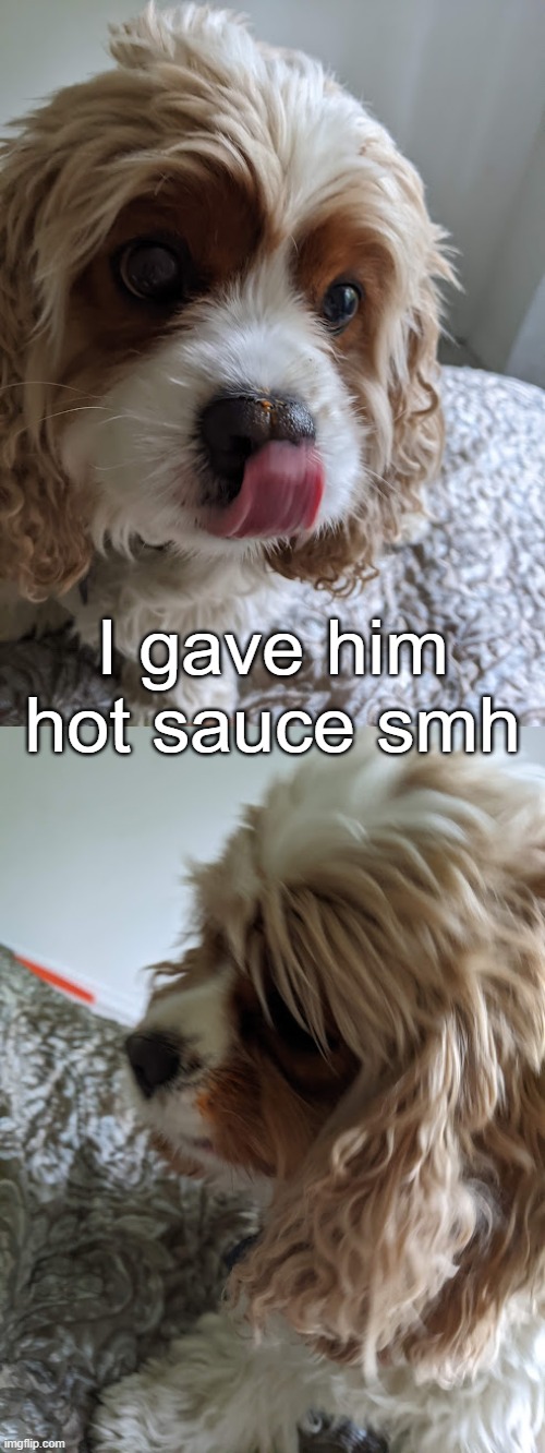 goofy mf | I gave him hot sauce smh | made w/ Imgflip meme maker