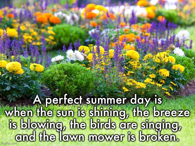 A perfect summer day | A perfect summer day is when the sun is shining, the breeze is blowing, the birds are singing, 
and the lawn mower is broken. | image tagged in garden,sun shining,birds singing,lawnmower,broken | made w/ Imgflip meme maker