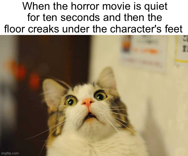 Spooky Meme |  When the horror movie is quiet for ten seconds and then the floor creaks under the character's feet | image tagged in scared cat,funny,memes,horror movie,animal | made w/ Imgflip meme maker