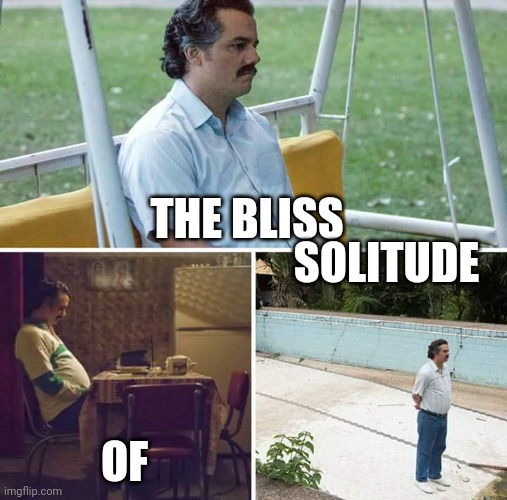 Sad Pablo Escobar | THE BLISS; SOLITUDE; OF | image tagged in memes,sad pablo escobar | made w/ Imgflip meme maker