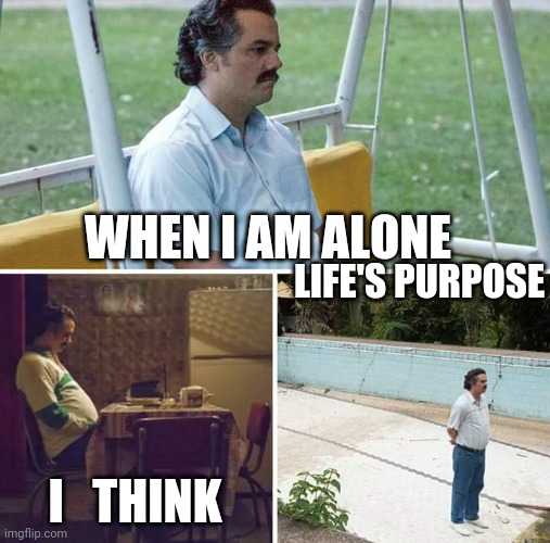 Sad Pablo Escobar Meme | WHEN I AM ALONE; LIFE'S PURPOSE; I   THINK | image tagged in memes,sad pablo escobar | made w/ Imgflip meme maker