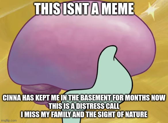 Squidward Smooth Brain | THIS ISNT A MEME; CINNA HAS KEPT ME IN THE BASEMENT FOR MONTHS NOW
THIS IS A DISTRESS CALL
I MISS MY FAMILY AND THE SIGHT OF NATURE | image tagged in squidward smooth brain | made w/ Imgflip meme maker