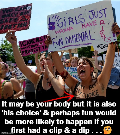 And you might throw in an attitude change which would really up your chances.... | It may be your body but it is also 
'his choice' & perhaps fun would 
be more likely to happen if you 
  first had a clip & a dip . . .🤔 | image tagged in politics,angry sjw,sjw triggered,feminazi,choices,attitude | made w/ Imgflip meme maker