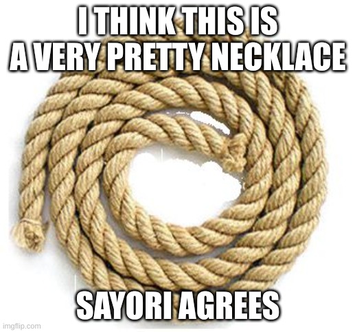 rope | I THINK THIS IS A VERY PRETTY NECKLACE SAYORI AGREES | image tagged in rope | made w/ Imgflip meme maker