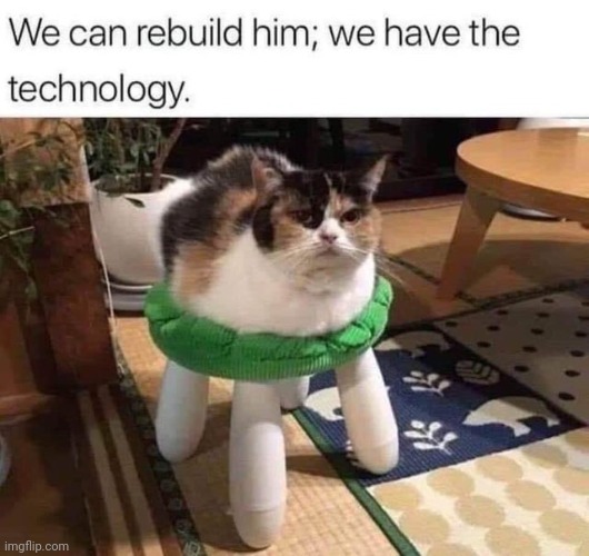 The cat-bot | image tagged in cat | made w/ Imgflip meme maker