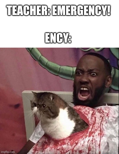 AAAAAAAAAAAAAAAAAA | TEACHER: EMERGENCY! ENCY: | image tagged in cats,xenomorph | made w/ Imgflip meme maker