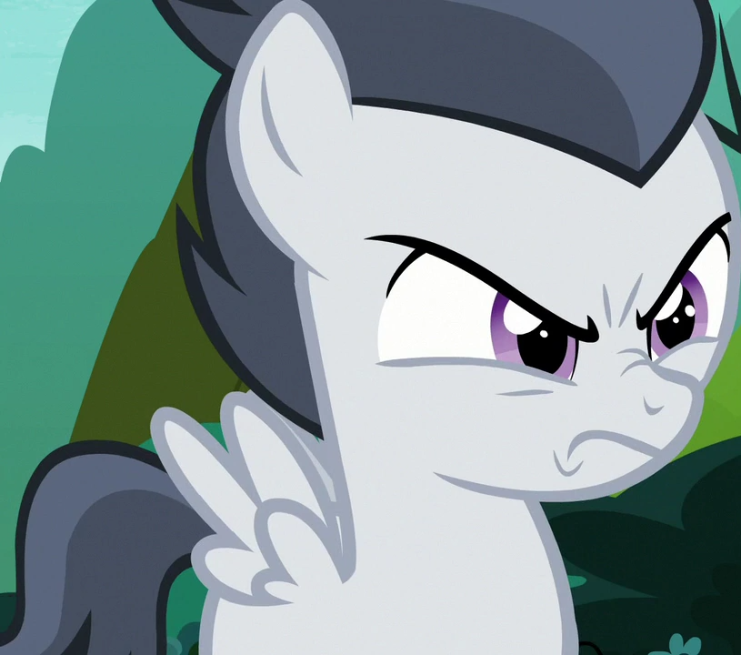 High Quality rumble's angry face (MLP) Blank Meme Template