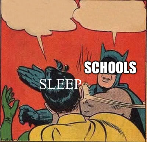 Batman Slapping Robin | SCHOOLS; SLEEP | image tagged in memes,batman slapping robin | made w/ Imgflip meme maker