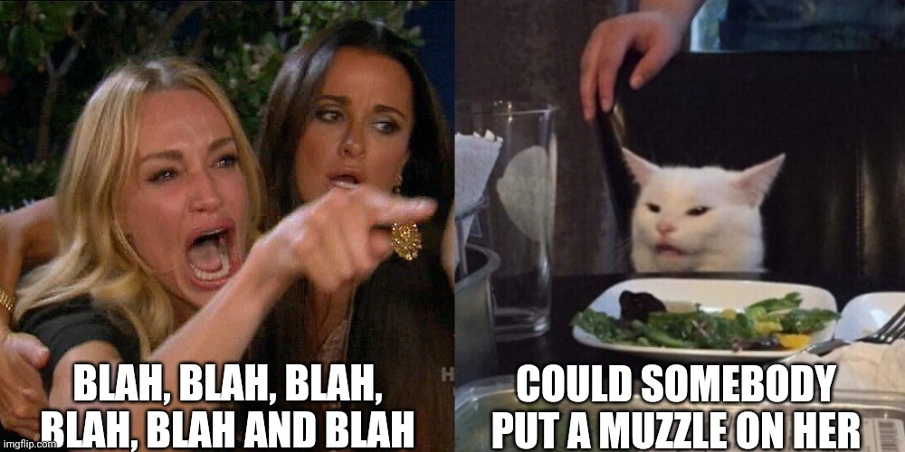Woman yelling at cat | BLAH, BLAH, BLAH, BLAH, BLAH AND BLAH; COULD SOMEBODY PUT A MUZZLE ON HER | image tagged in woman yelling at cat | made w/ Imgflip meme maker