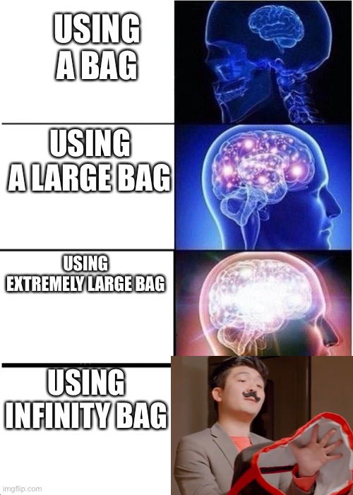 Expanding Brain Meme | USING A BAG; USING A LARGE BAG; USING EXTREMELY LARGE BAG; USING INFINITY BAG | image tagged in memes,expanding brain | made w/ Imgflip meme maker