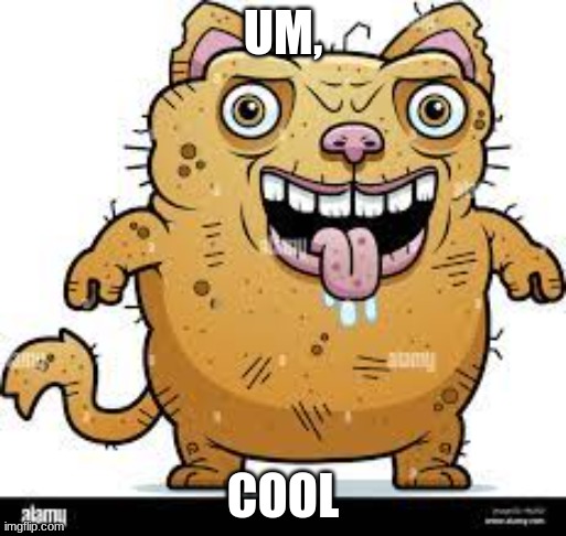 Lying at a "Cool" cat | UM, COOL | image tagged in cats,ugly | made w/ Imgflip meme maker