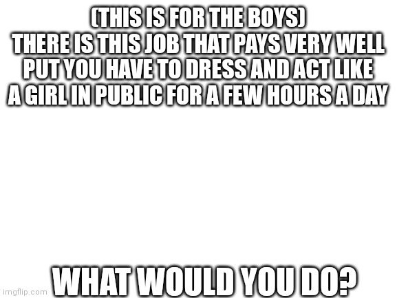 Blank White Template | (THIS IS FOR THE BOYS)
THERE IS THIS JOB THAT PAYS VERY WELL PUT YOU HAVE TO DRESS AND ACT LIKE A GIRL IN PUBLIC FOR A FEW HOURS A DAY; WHAT WOULD YOU DO? | image tagged in blank white template | made w/ Imgflip meme maker