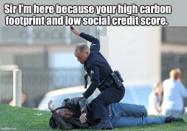 Possible? | Sir I’m here because your high carbon footprint and low social credit score. | image tagged in cop beating,politics,memes | made w/ Imgflip meme maker