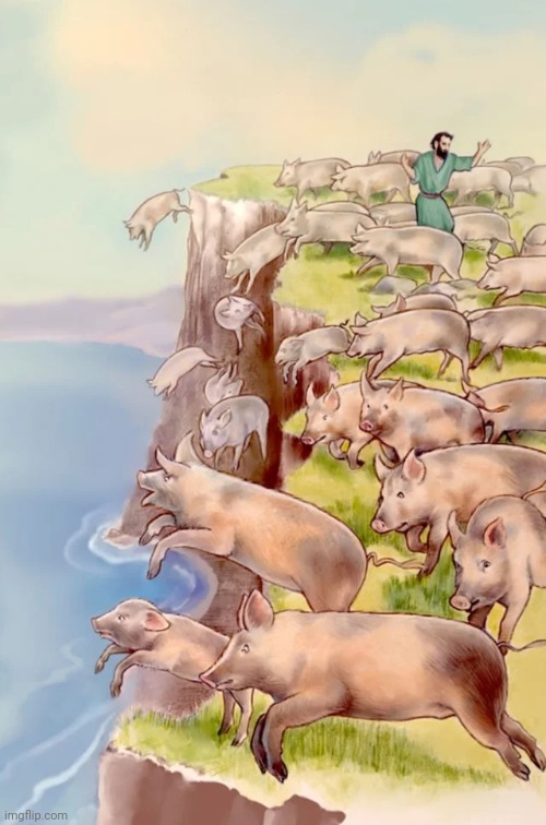 Pigs jumping off cliff | image tagged in pigs jumping off cliff | made w/ Imgflip meme maker