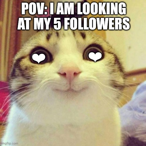 Smiling Cat Meme | POV: I AM LOOKING AT MY 5 FOLLOWERS; ❤; ❤ | image tagged in memes,smiling cat | made w/ Imgflip meme maker