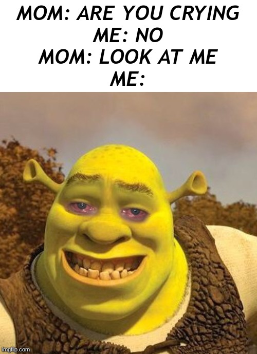 Shrek is crying | MOM: ARE YOU CRYING
ME: NO
MOM: LOOK AT ME
ME: | image tagged in fun,shrek,crying | made w/ Imgflip meme maker
