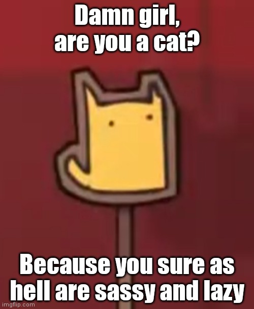 Damn girl, are you a cat? Because you sure as hell are sassy and lazy | made w/ Imgflip meme maker