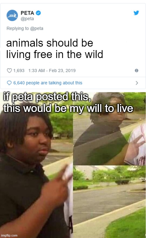 animals should be living free in the wild; if peta posted this, this would be my will to live | image tagged in peta tweet,disappearing | made w/ Imgflip meme maker