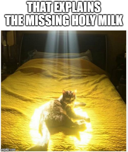 warlock please don't fire me. their wasn't a lot missing | THAT EXPLAINS THE MISSING HOLY MILK | image tagged in cats,meme,crusader | made w/ Imgflip meme maker