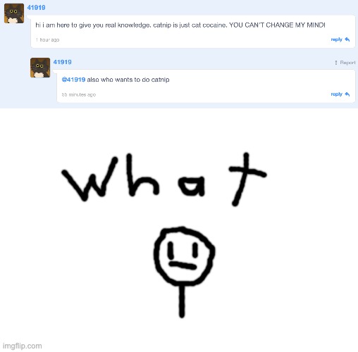 Looks like this dude destroyed the filterbot on scratch | image tagged in stickman what,cursedcomments | made w/ Imgflip meme maker