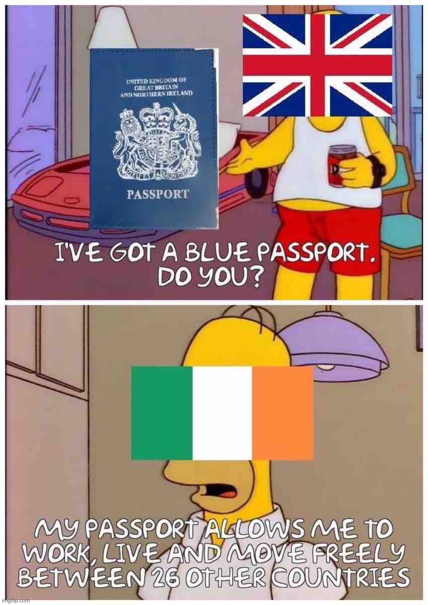 We don’t touch on British politics much around here, but let it be said Brexit was moronic | image tagged in u k vs irish passport | made w/ Imgflip meme maker