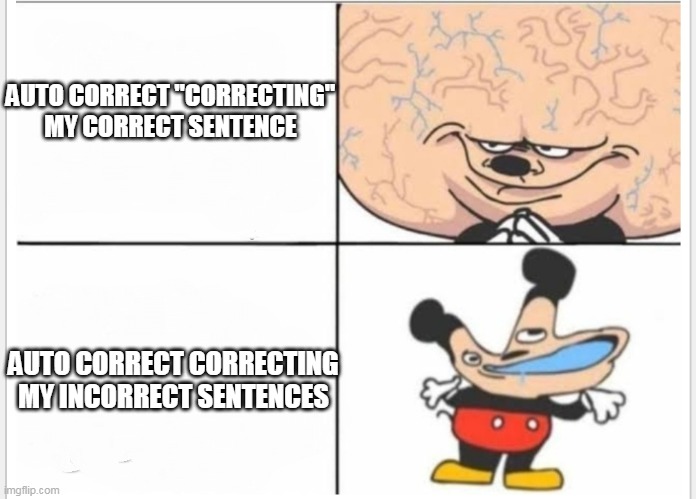 bruh moment | AUTO CORRECT "CORRECTING" MY CORRECT SENTENCE; AUTO CORRECT CORRECTING MY INCORRECT SENTENCES | image tagged in mickey mouse brain,certified bruh moment | made w/ Imgflip meme maker