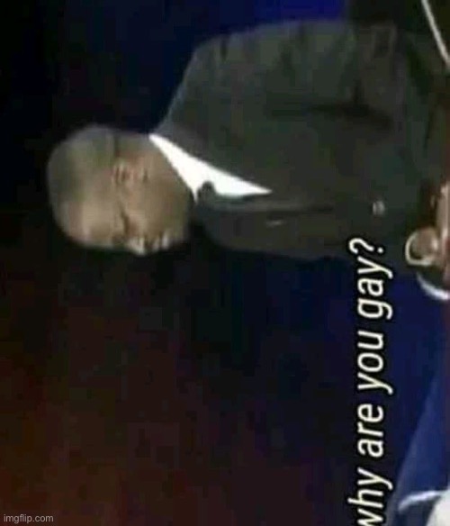 image tagged in why are you gay meta | made w/ Imgflip meme maker