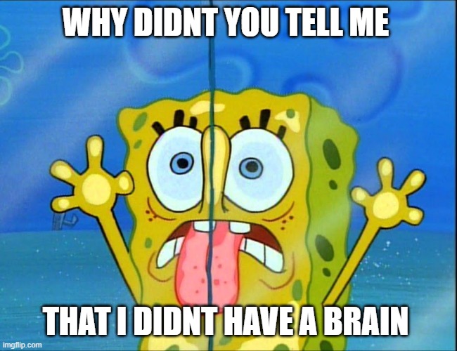 Door licking/Trying to get in Spongebob | WHY DIDNT YOU TELL ME THAT I DIDNT HAVE A BRAIN | image tagged in door licking/trying to get in spongebob | made w/ Imgflip meme maker