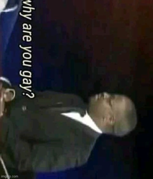 image tagged in why are you gay meta | made w/ Imgflip meme maker