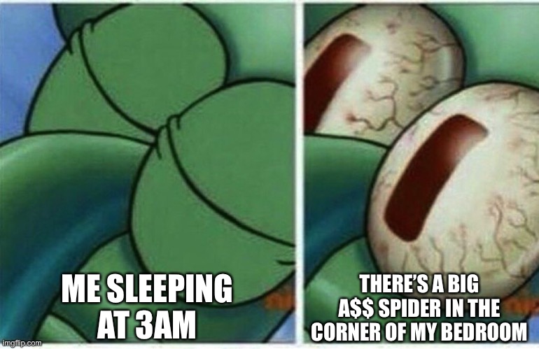 The Giant Enemy Spider | ME SLEEPING AT 3AM; THERE’S A BIG A$$ SPIDER IN THE CORNER OF MY BEDROOM | image tagged in squidward | made w/ Imgflip meme maker