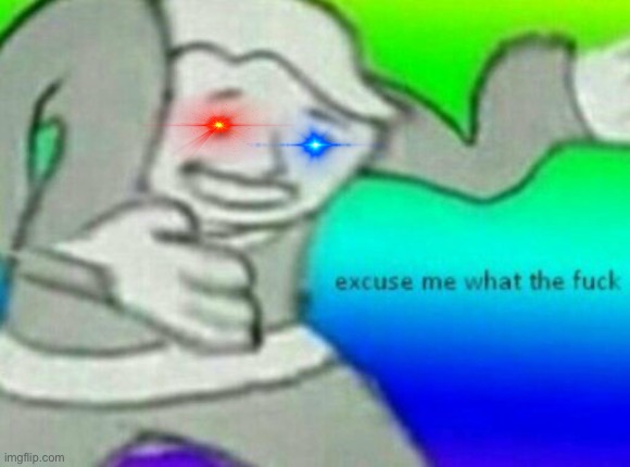 Excuse me wtf | image tagged in excuse me wtf | made w/ Imgflip meme maker