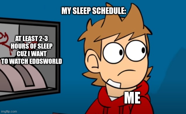 truth | MY SLEEP SCHEDULE:; AT LEAST 2-3 HOURS OF SLEEP CUZ I WANT TO WATCH EDDSWORLD; ME | image tagged in eddsworld | made w/ Imgflip meme maker