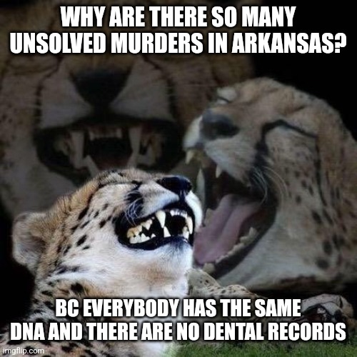 Laughing | WHY ARE THERE SO MANY UNSOLVED MURDERS IN ARKANSAS? BC EVERYBODY HAS THE SAME DNA AND THERE ARE NO DENTAL RECORDS | image tagged in laughing | made w/ Imgflip meme maker