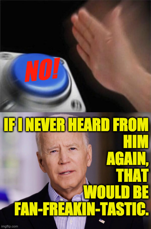 IF I NEVER HEARD FROM
HIM
AGAIN,
THAT
WOULD BE
FAN-FREAKIN-TASTIC. NO! | image tagged in memes,blank nut button,joe biden 2020 | made w/ Imgflip meme maker