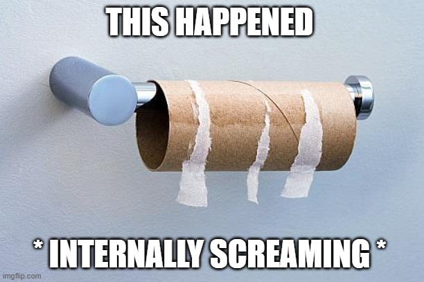 No More Toilet Paper | THIS HAPPENED * INTERNALLY SCREAMING * | image tagged in no more toilet paper | made w/ Imgflip meme maker