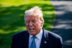 Sick trump Blank Meme Template