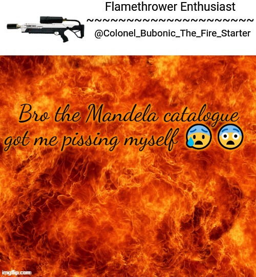 Flamethrower Enthusiast | Bro the Mandela catalogue got me pissing myself 😰😨 | image tagged in flamethrower enthusiast | made w/ Imgflip meme maker