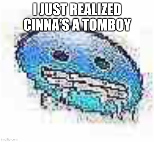 Isn’t a tomboy a girl that acts like a boy?? | I JUST REALIZED CINNA’S A TOMBOY | image tagged in ice cursed | made w/ Imgflip meme maker