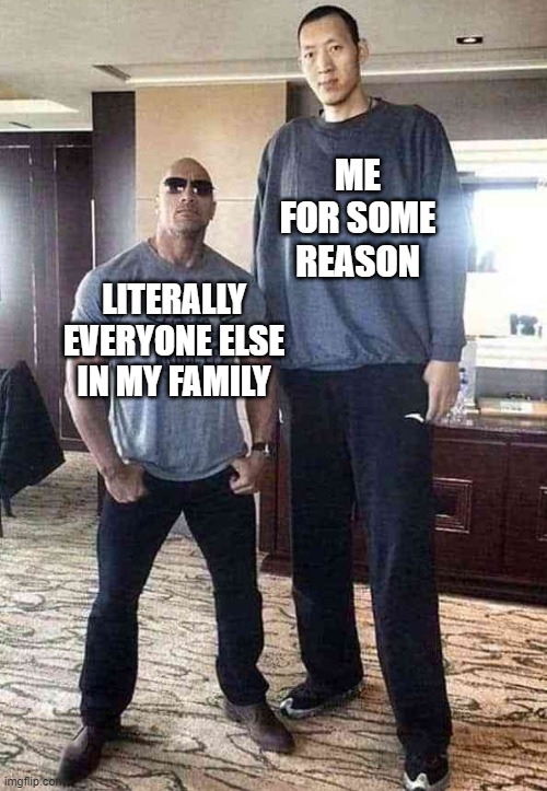 The Rock height | ME FOR SOME REASON; LITERALLY EVERYONE ELSE IN MY FAMILY | image tagged in the rock height | made w/ Imgflip meme maker