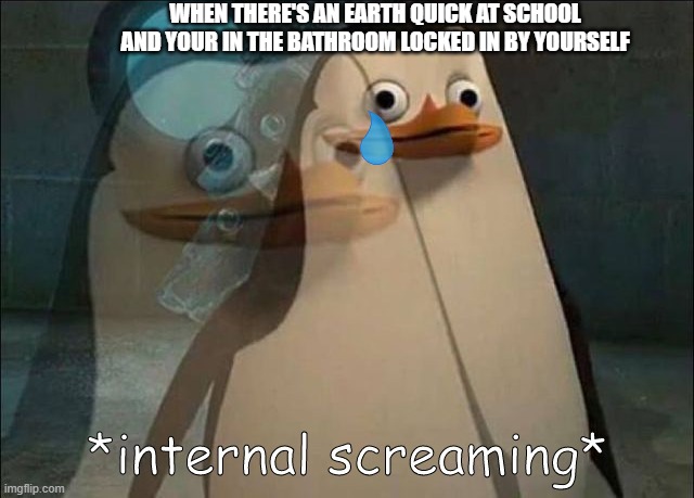 Private Internal Screaming | WHEN THERE'S AN EARTH QUICK AT SCHOOL AND YOUR IN THE BATHROOM LOCKED IN BY YOURSELF | image tagged in haha money printer go brrr | made w/ Imgflip meme maker