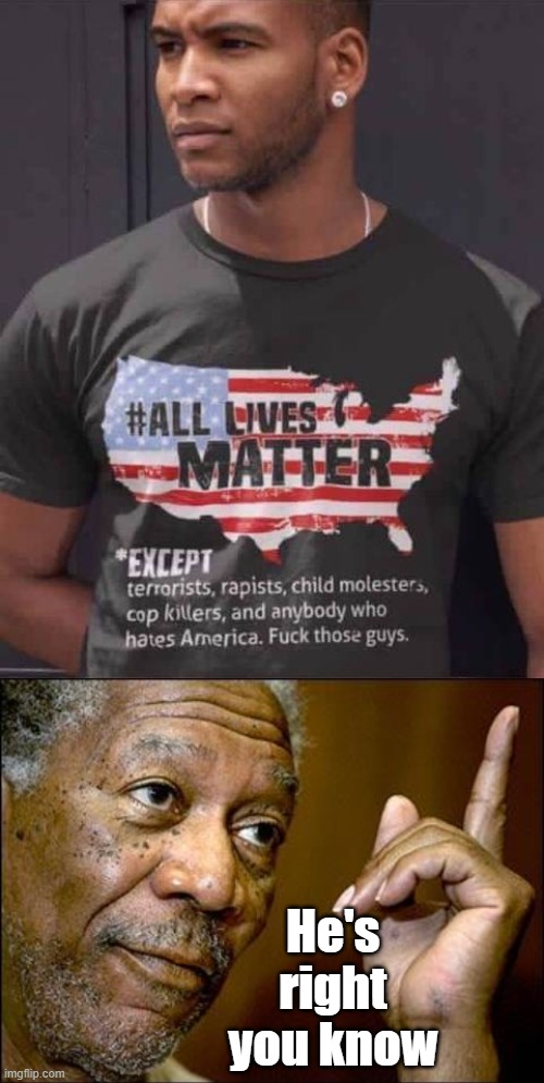 He's right you know | image tagged in this morgan freeman,politics lol | made w/ Imgflip meme maker