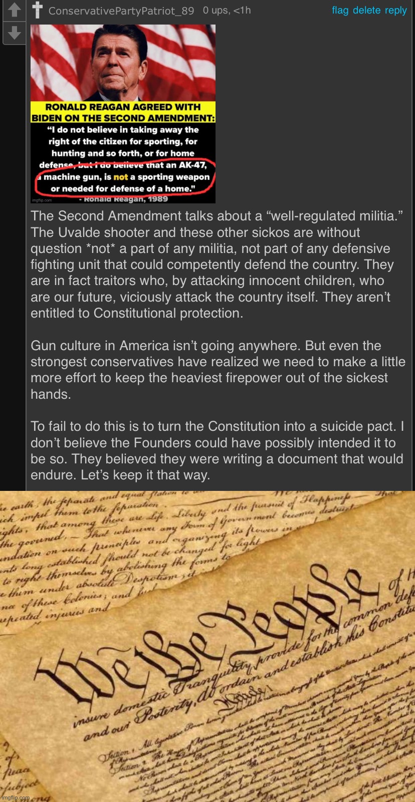 “Gun culture” is here to stay. But we need to write senseless violence out of the culture, or perish. | image tagged in constitutional argument for gun control,constitution | made w/ Imgflip meme maker